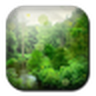HD Forest 3D Live Wallpaper