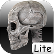 Человеческие кости Lite / Human bones lite