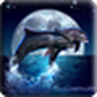3D дельфинов Радуга