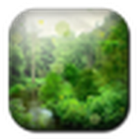 HD Forest 3D Live Wallpaper