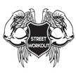 Street Workout разряды