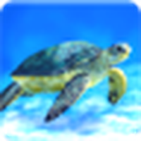 Морская черепаха Живые обои / Sea Turtle Live Wallpaper