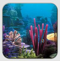 Океанический аквариум