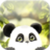 Живые обои с пандой бесплатно / Panda Chub LWP