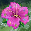 Живые обои Цветочные Часы / Flower Clock Live Wallpaper