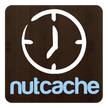 Nutcache Регистратор времени